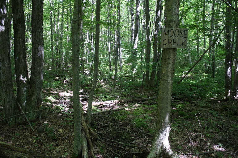 MooseCreek1